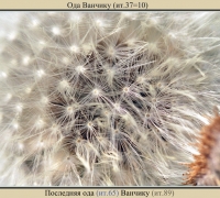 641 Ода Ванчику.jpg