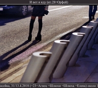 684 Оральная велосипедистка 3.jpg