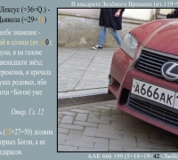 710 Беременная.jpg