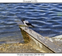 719 Отходим.jpg