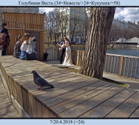 729 Голубиная весть 58.jpg