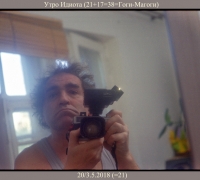 786 Утро Идиота.jpg