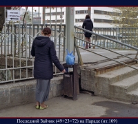 800 Зайчик на Параде.jpg