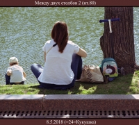 833 Между 2-х столбов 2.jpg