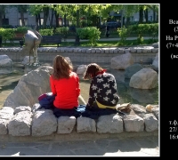 834 Всадники и Кони.jpg