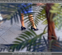 850 Голубые мечты под п.jpg