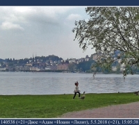 862 Гуси Люцерн.jpg