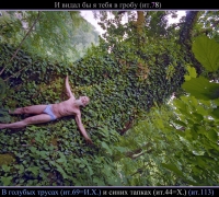 880 Видал в гробу.jpg