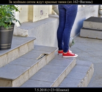 900 Над зелёным решетом.jpg