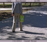 956 Ждун-Несун.jpg