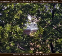 1101 Липовый сон.jpg