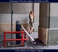 1163 Таможня.jpg