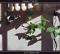 1183 Связка 47.jpg