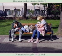 1254 Из жизни гамбургеров.jpg