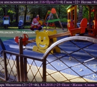 1256 Из жизни апельсинов.jpg