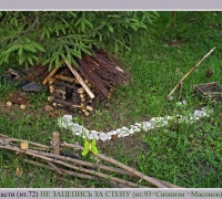 1281 Луком 2.jpg