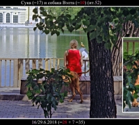 1296 Мои две жизни 2.jpg