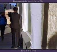 1338 Провожающий.jpg