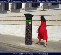 1362 Беременная Парковка.jpg