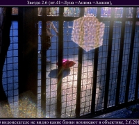 1377 Звеза 2 июня.jpg