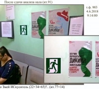 1457 Плакаты в п-ке.jpg