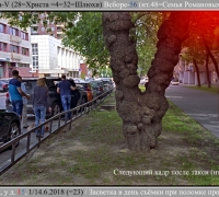 1462 Обратно дороги нет 3.jpg