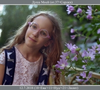 1583 Едем с нами 1.jpg