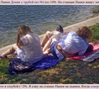 1587 Панки 2.jpg