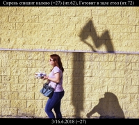 1610 Сирень спешит налево.jpg