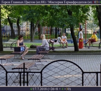 1724 Герои главных цветов.jpg