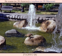 1750 Не плыви к голубым.jpg