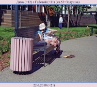 1767 Дама с газетой.jpg