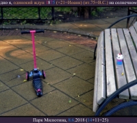 1771 Одинокий ждун.jpg