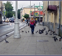 1795 Буксир 12.jpg