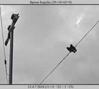 1802 Время борьбы.jpg