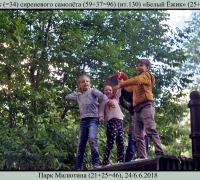 1829 а Белый ёжик.jpg