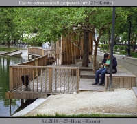 1951 Где-то оставленный дозревать.jpg