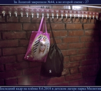 1965 Посл кадр.jpg