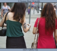 2055 О Лунных Феях 1.jpg