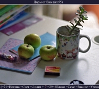 2063 Дары от Евы.jpg