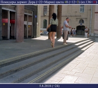 2108 Помидоры 4.jpg