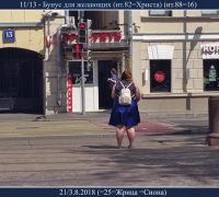 2110 Помидоры 6.jpg