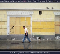 2236 Яблоко безумия.jpg