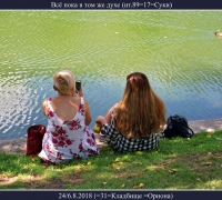 2241 И всё пока в том же духе.jpg