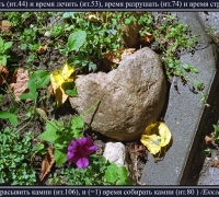 2301 Камень 2.jpg