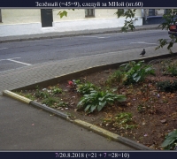 2320 Следуй за мной.jpg