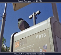 2321 Думай быстрее.jpg