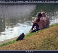 2342 голубь.jpg