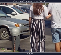 2368 Серого на всех.jpg