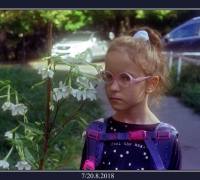 2419 а Лол и лилии.jpg